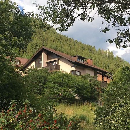 Haus Agnes, Murau Exterior foto